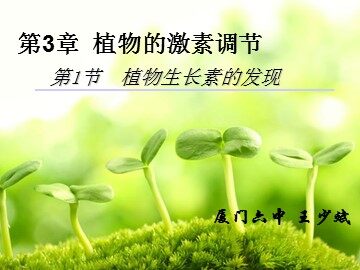 植物生长素的发现（王少斌）ppt