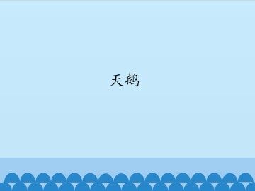 天鹅_课件1