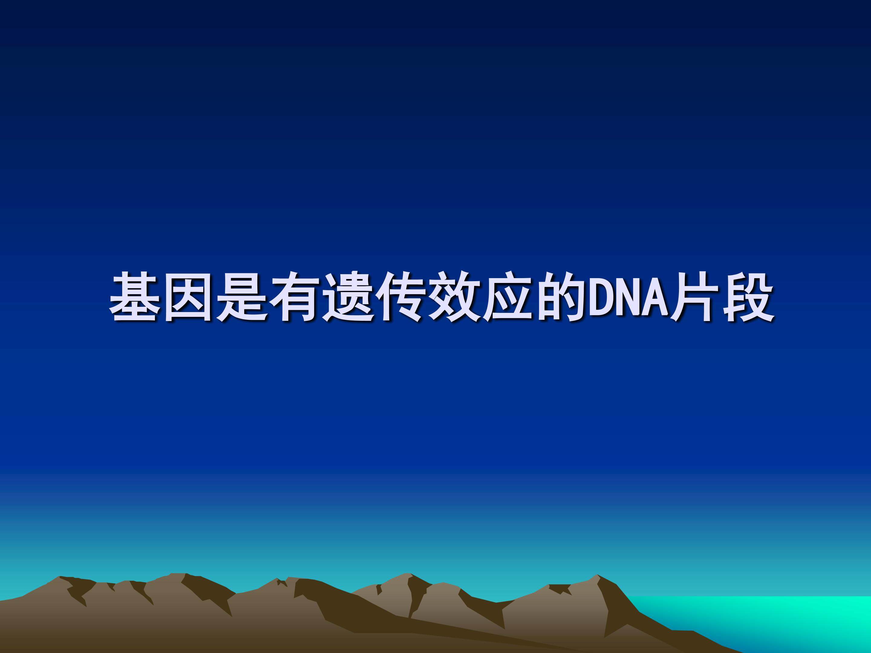 基因是有遗传效应的DNA片段_课件1