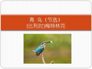 青鸟（节选）_课件1