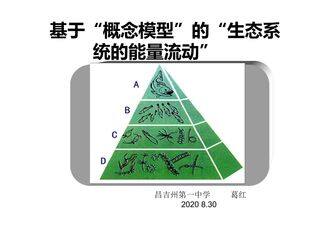 基于概念模型的生态系统的能量流动