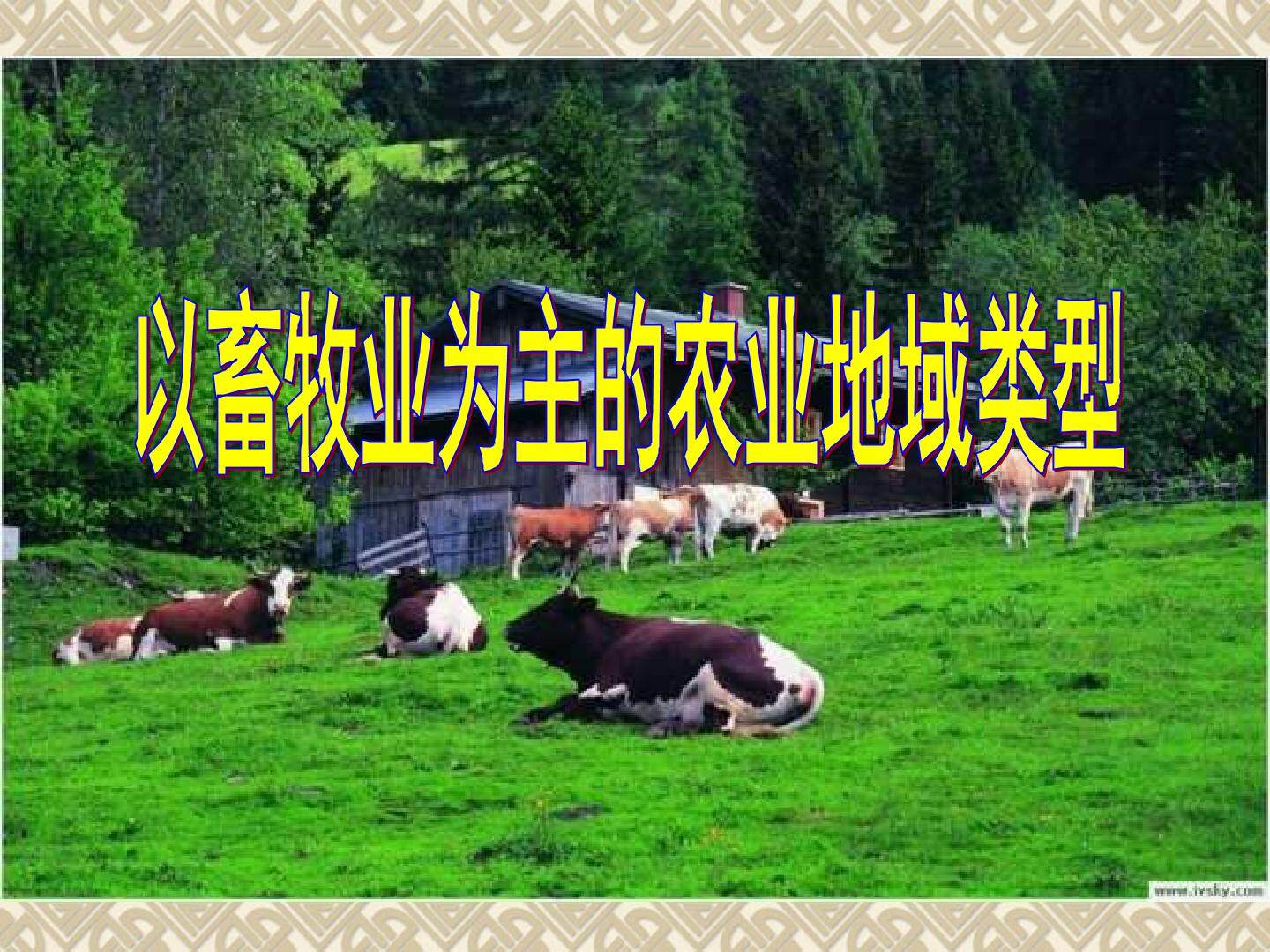 以畜牧业为主的农业地域类型
