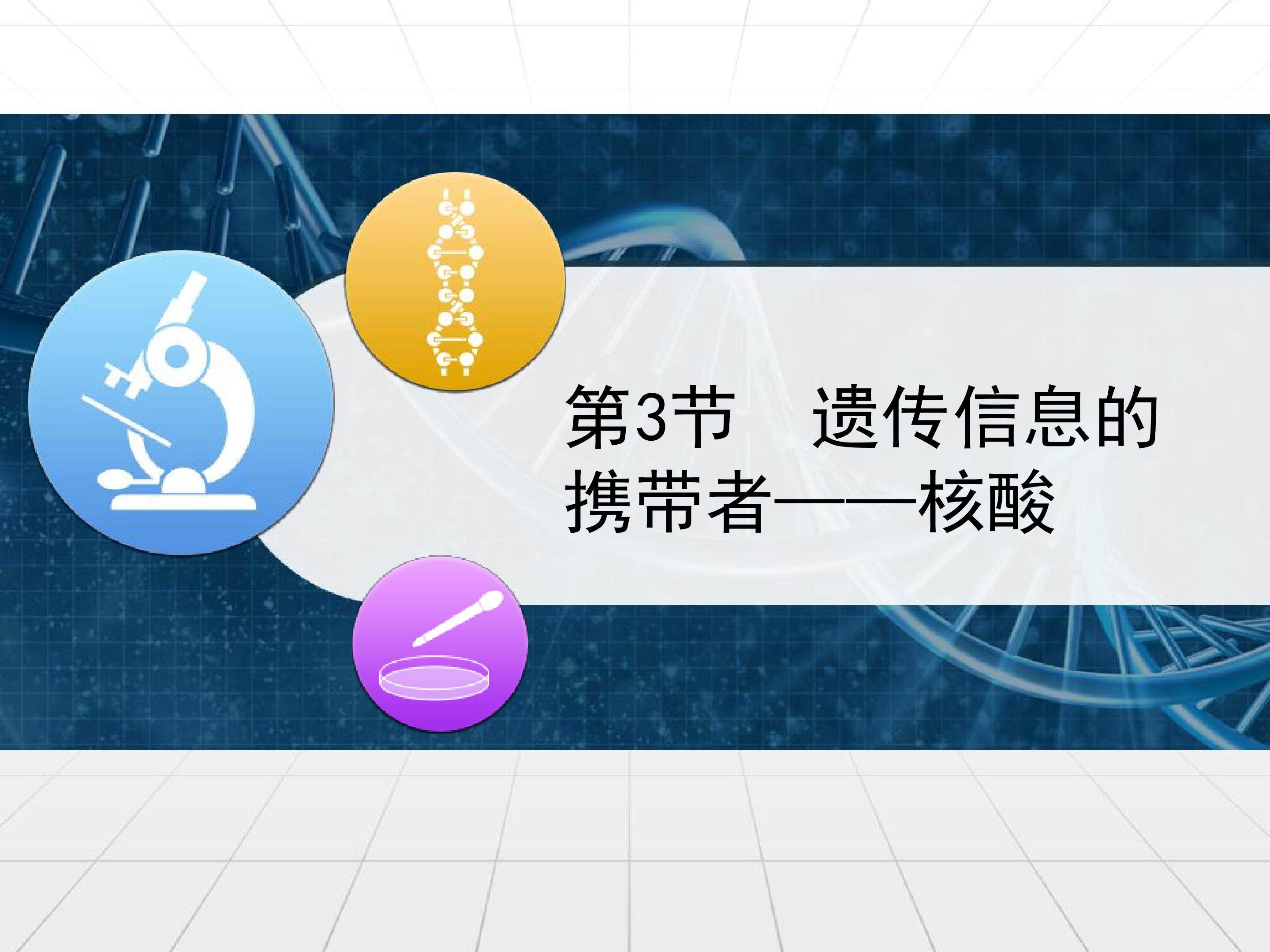 遗传信息的携带者----核酸
