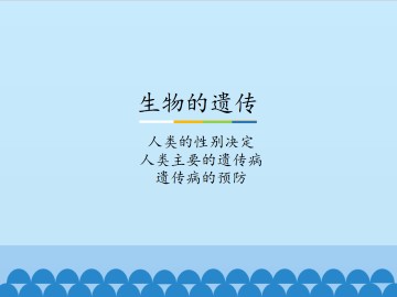 生物的遗传-人类的性别决定 人类主要的遗传病 遗传病的预防_课件1