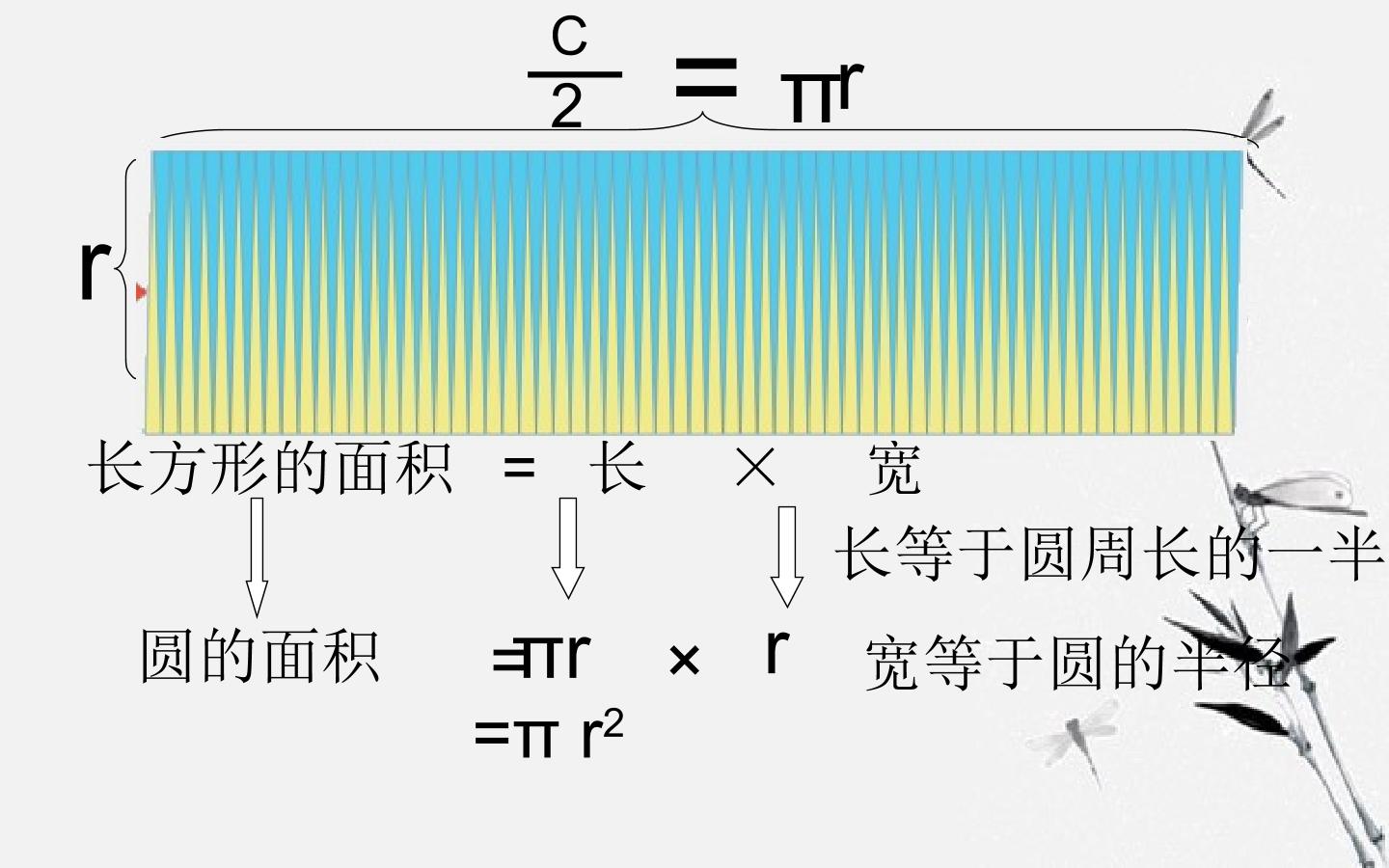 91.jpg