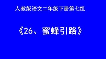 26 蜜蜂引路 