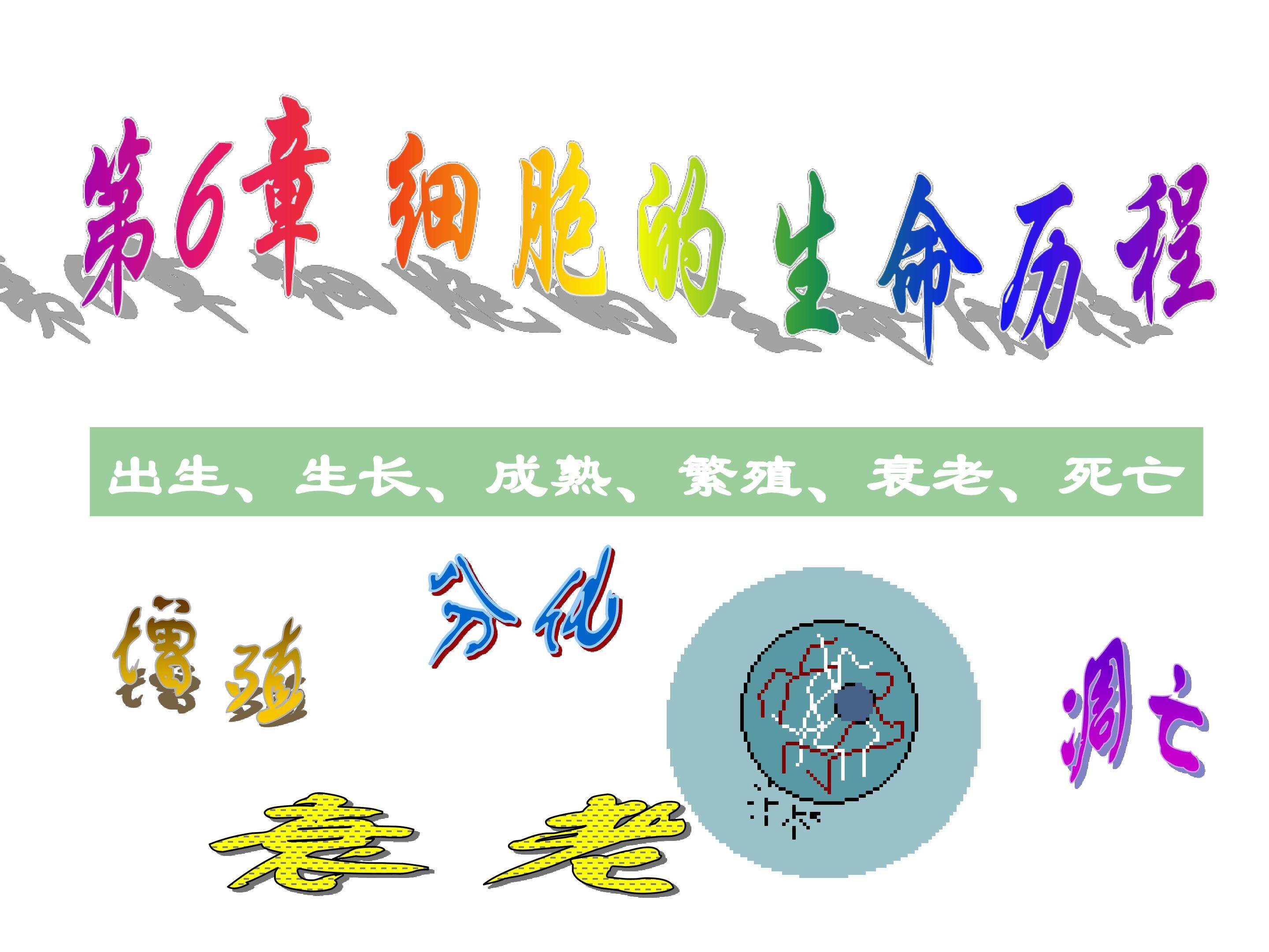 细胞的有丝分裂（必修一第六章第一节）