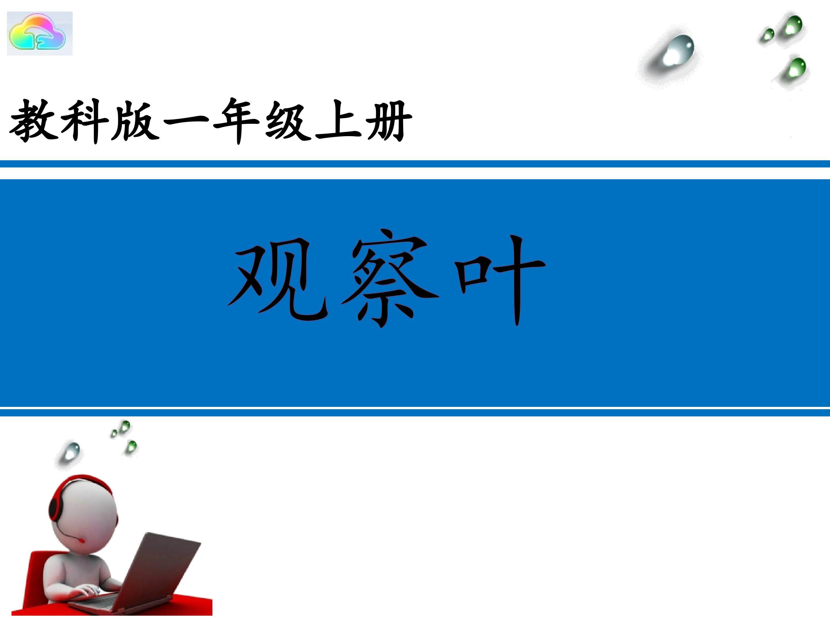 观察叶