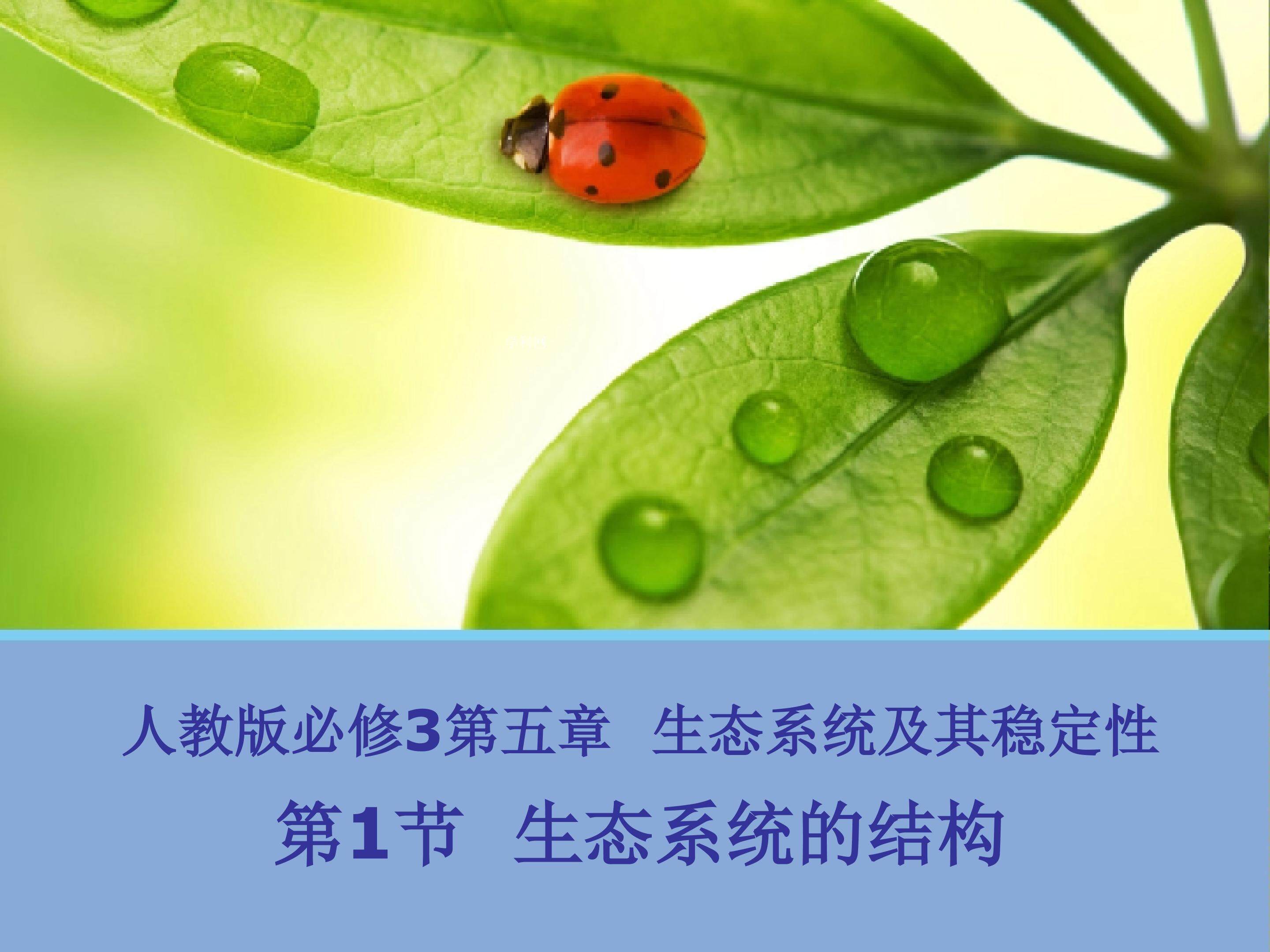 生态系统的结构