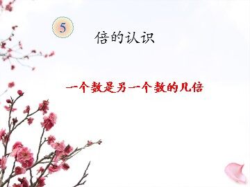 5 倍的认识