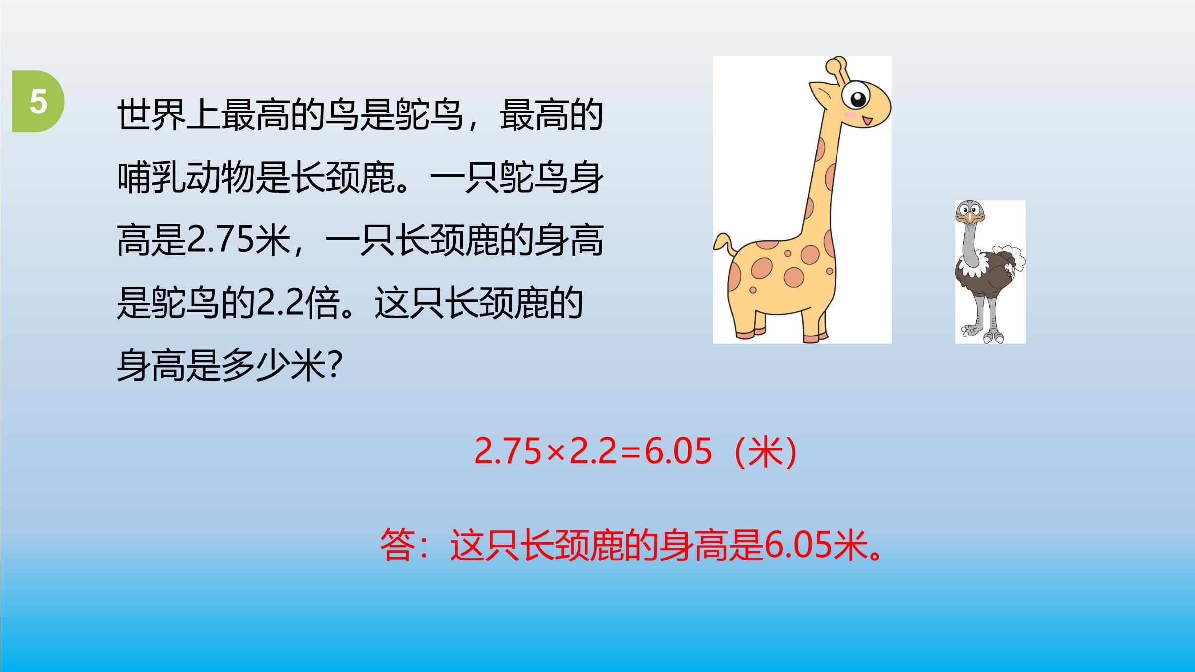 21.jpg