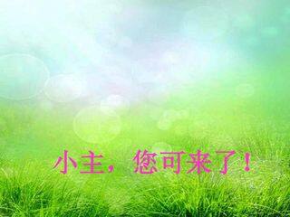 生态系统的信息传递