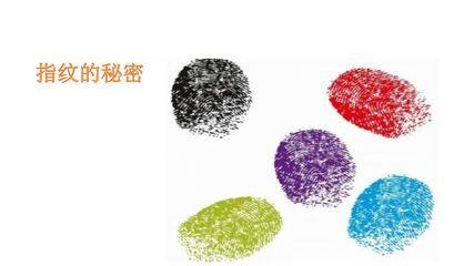 3年级下册道德与法治部编版课件第一单元 1 我是独特的 01