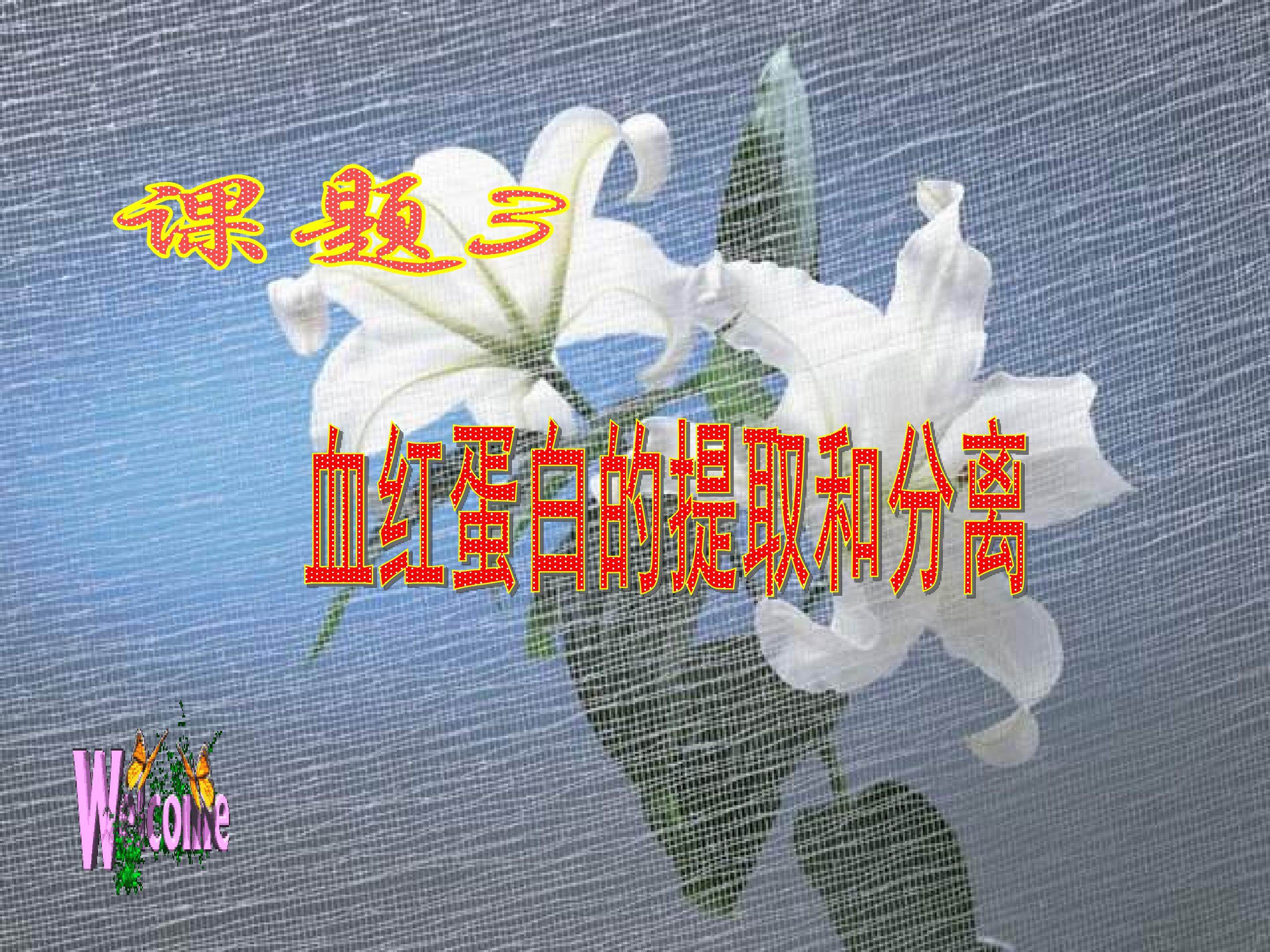 血红蛋白的提取和分离