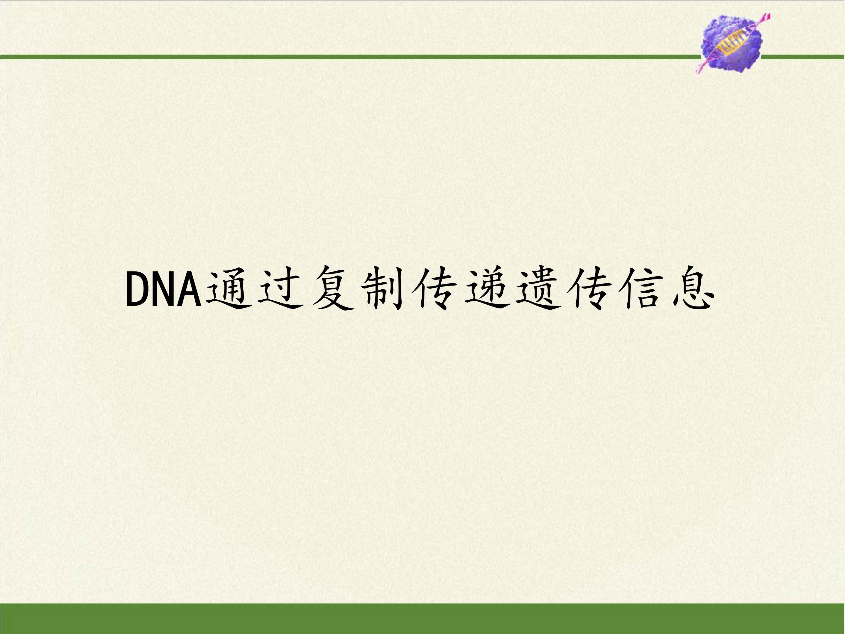 DNA通过复制传递遗传信息