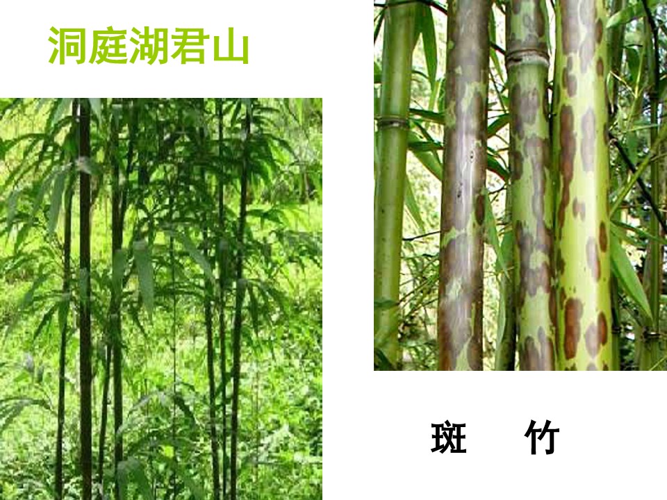 湘夫人