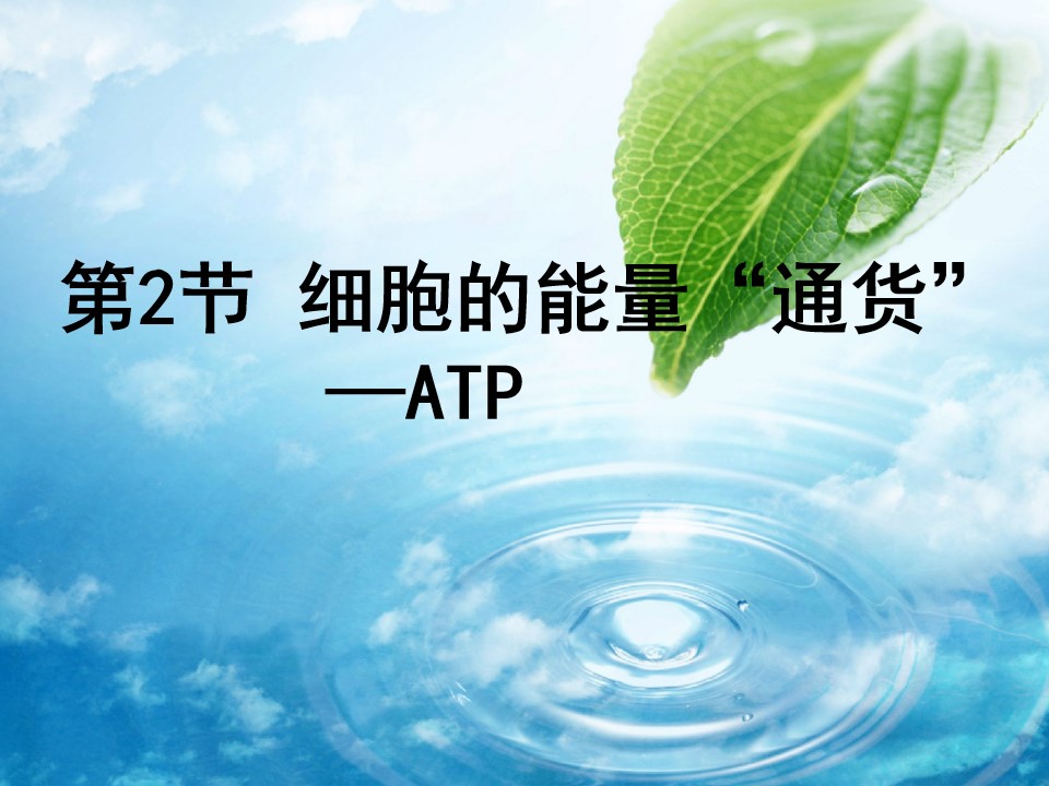 细胞的能量通获——ATP