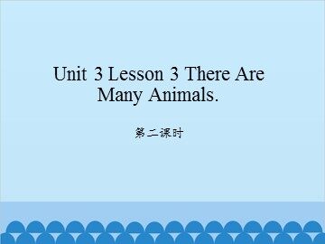 unit 3 Lesson 3 There Are Many Animals 第二课时_课件1