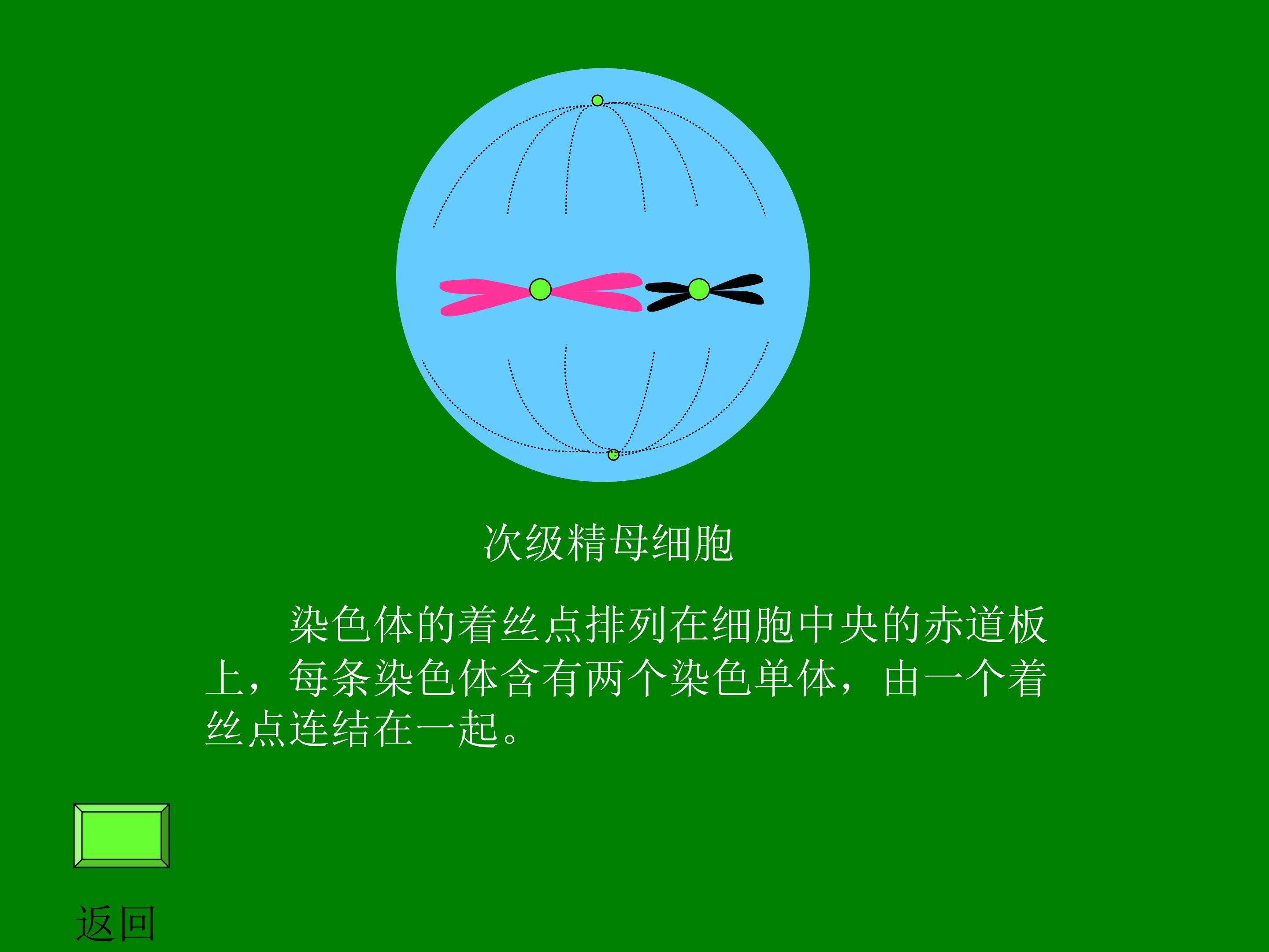 52.jpg