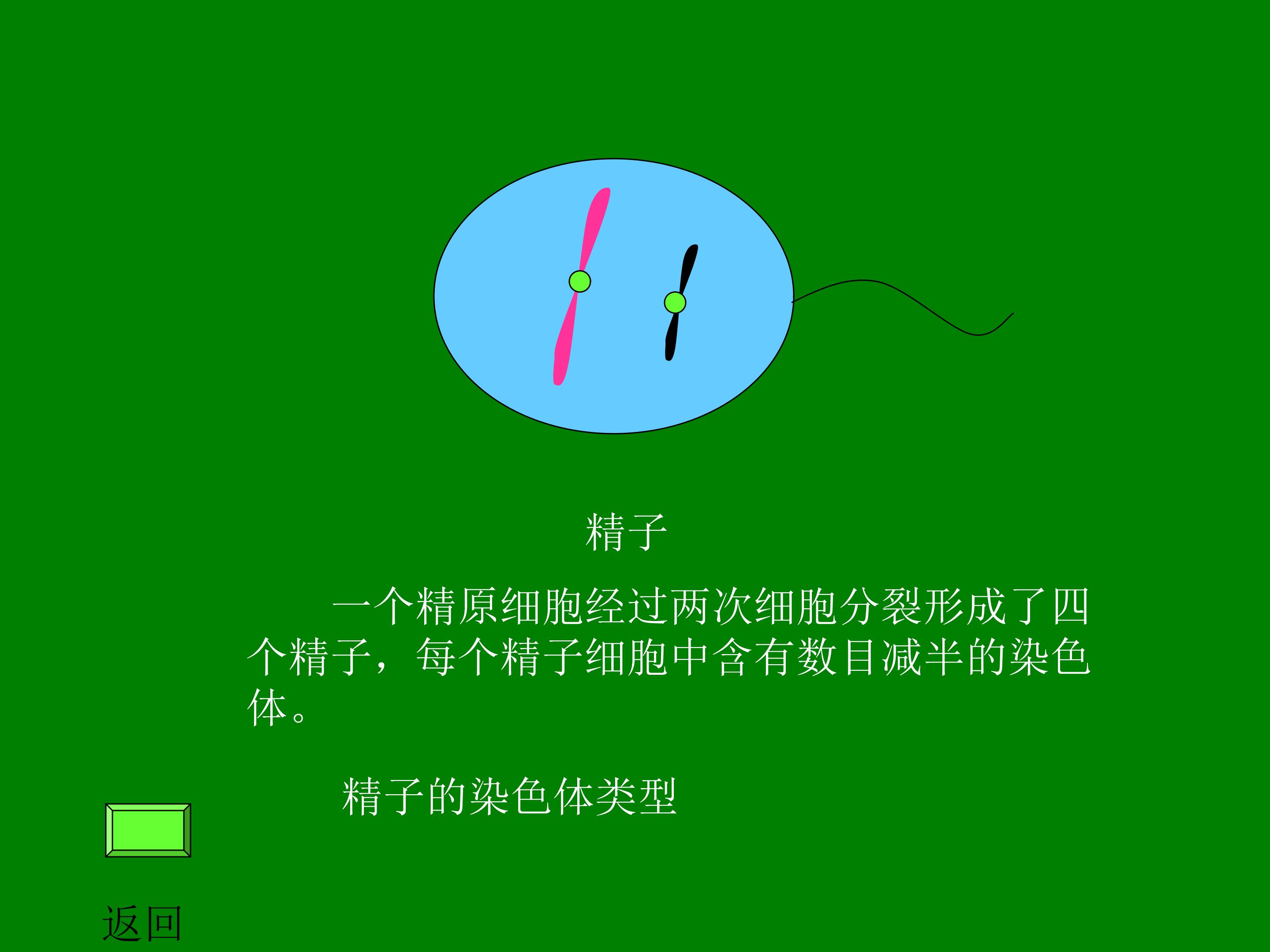 55.jpg
