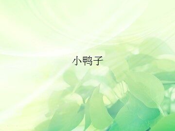 小鸭子_课件1