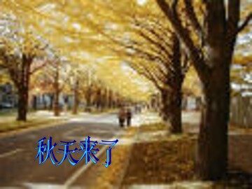 秋天_课件3