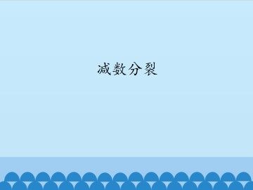 减数分裂_课件1