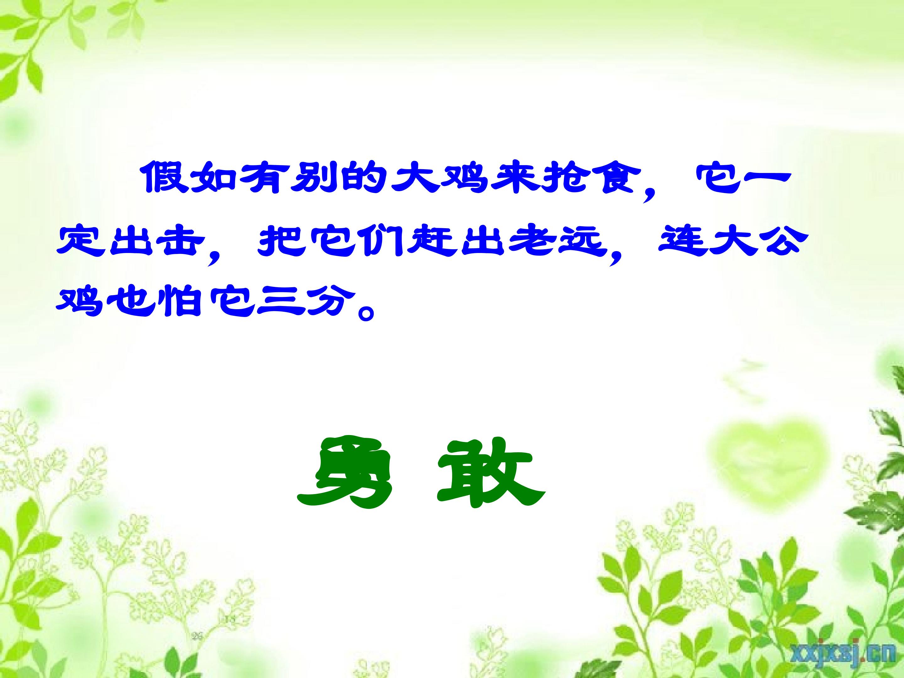 13.jpg