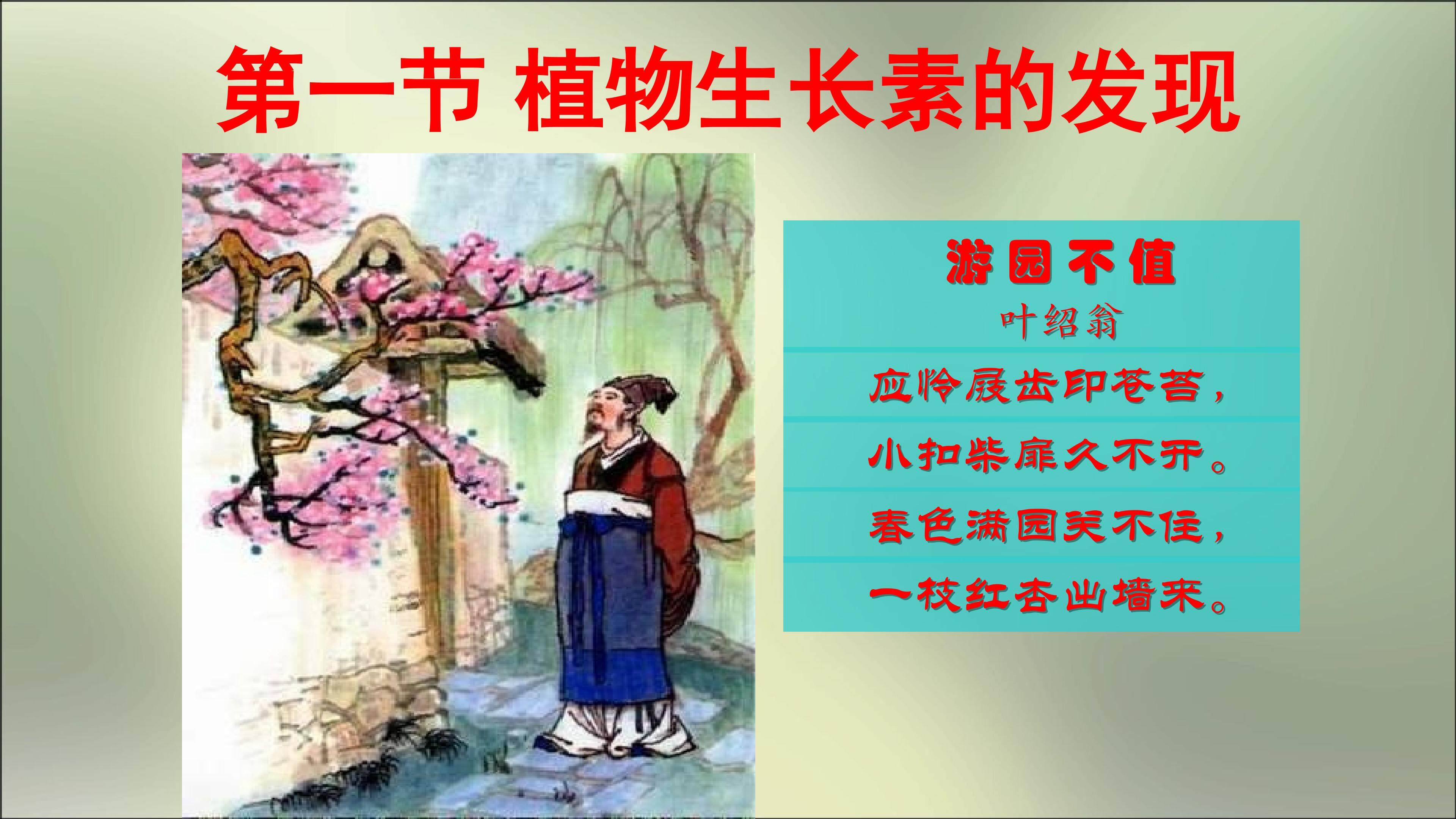 植物生长素的发现