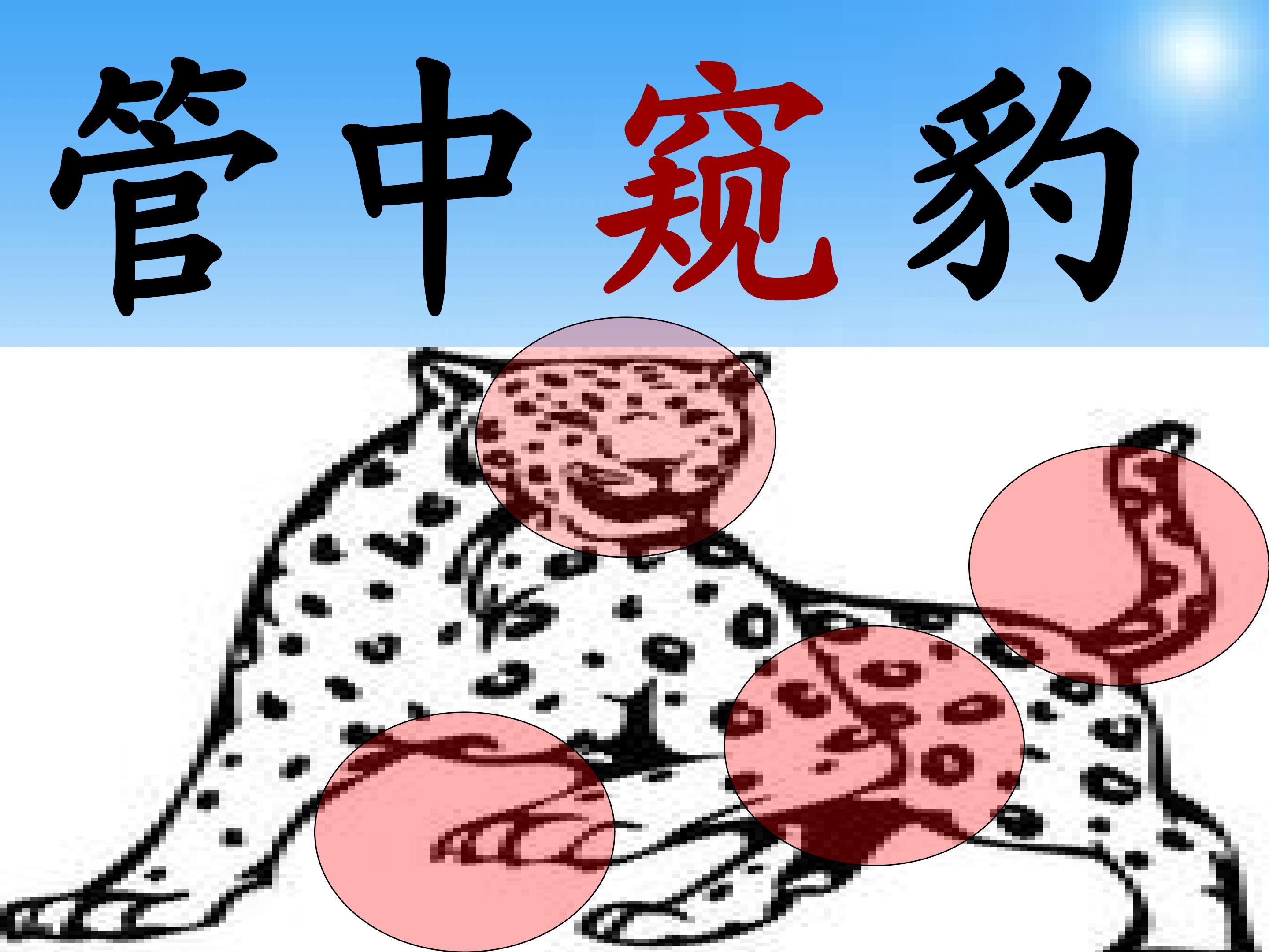 14.jpg
