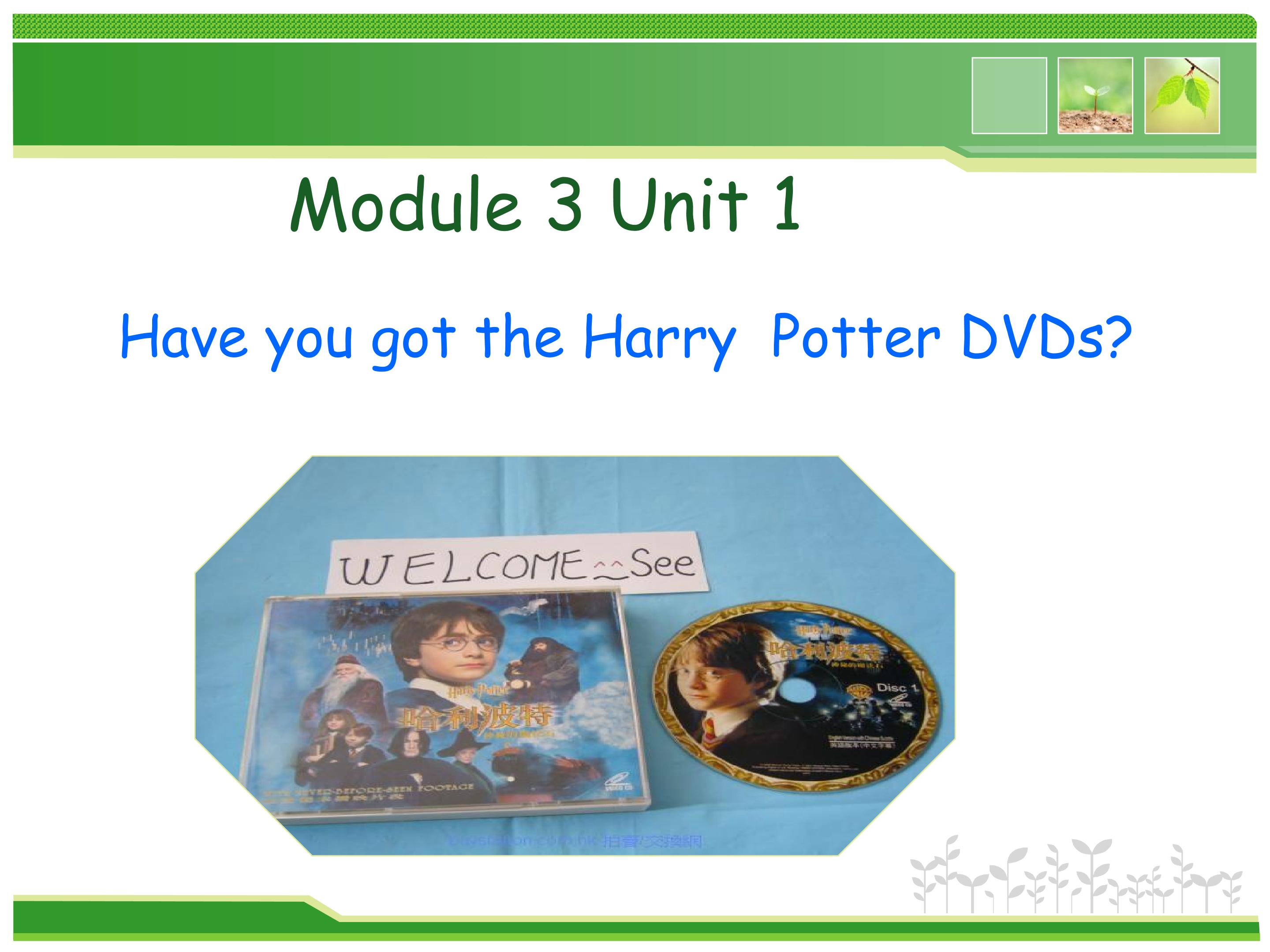 Have you got the Harry Potter DVDs?