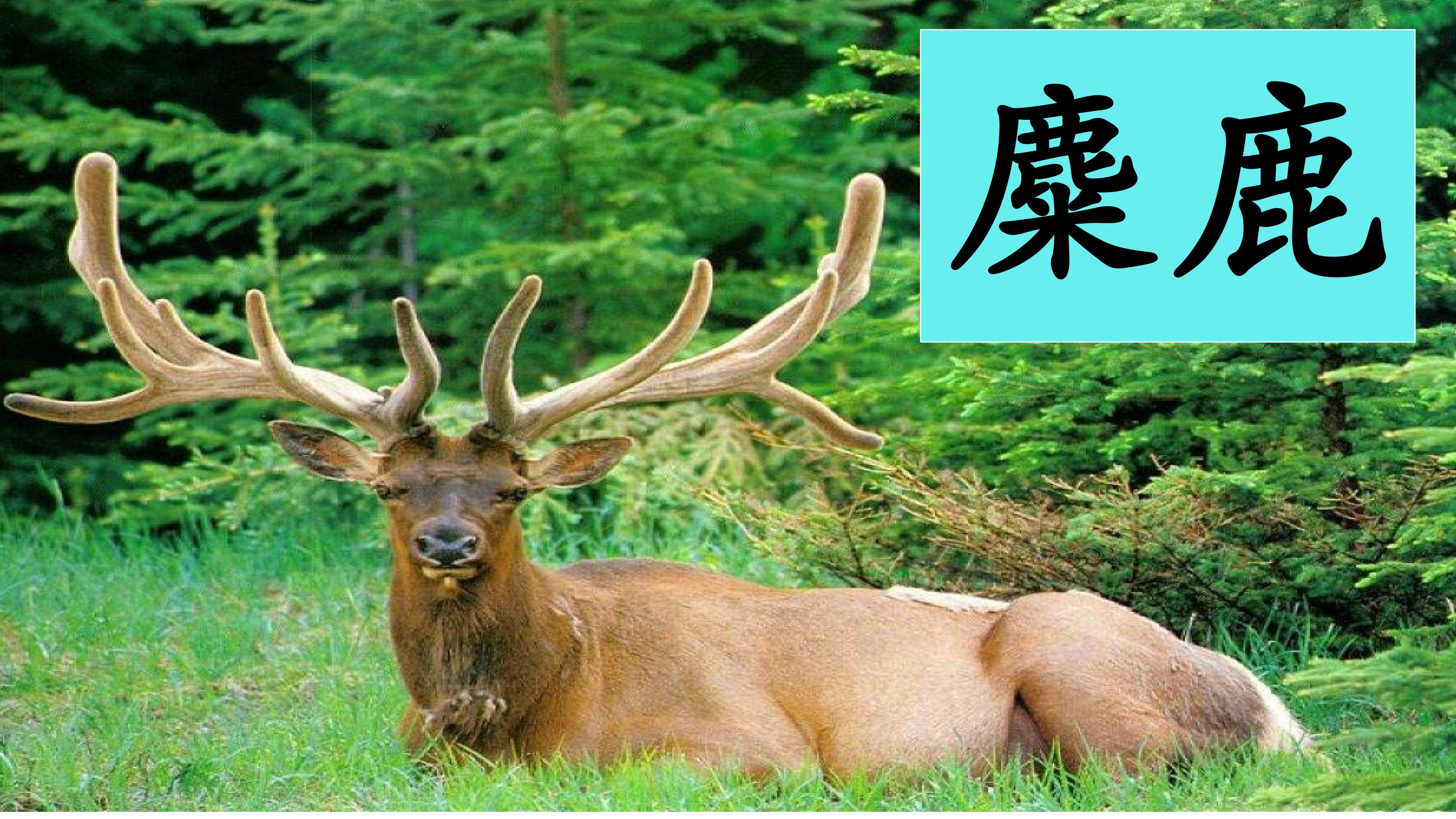 49.jpg