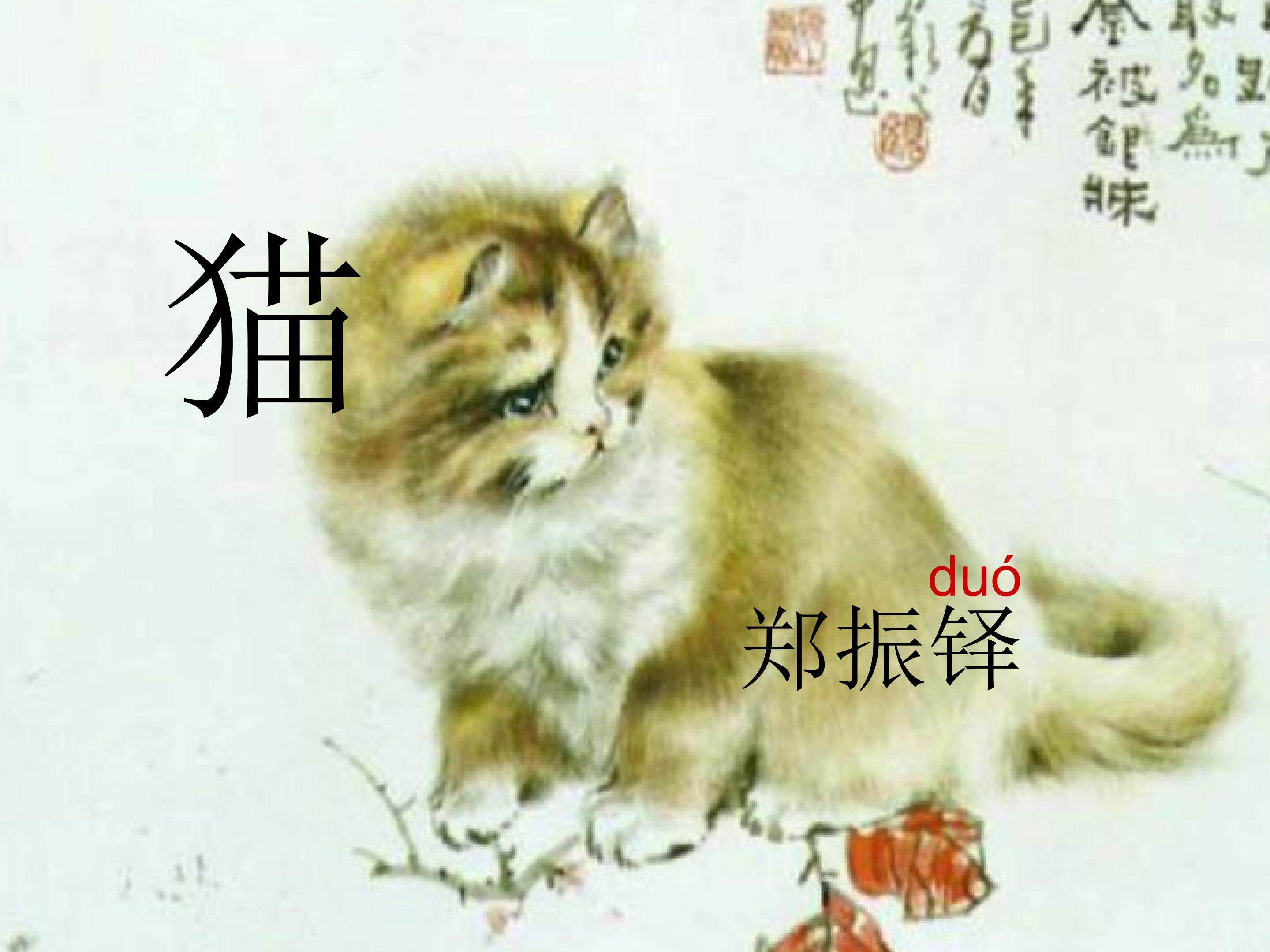 《猫》