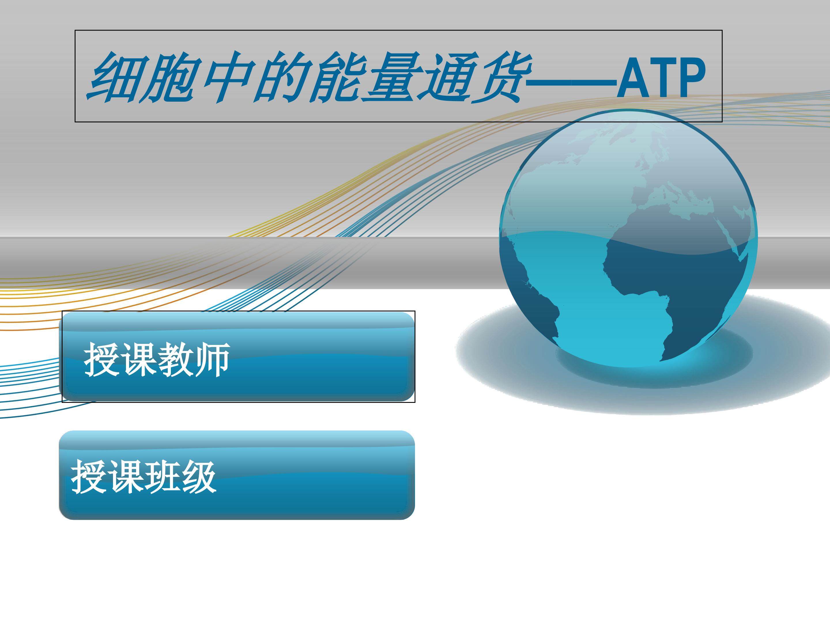 《细胞中的能量通货----ATP》