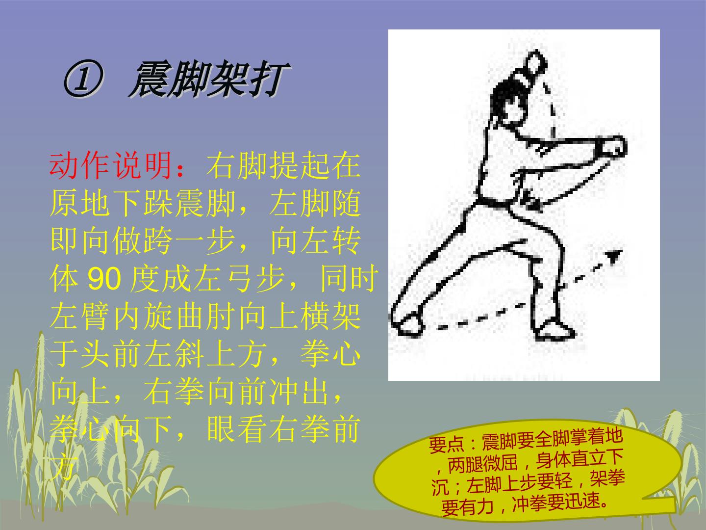 15.jpg