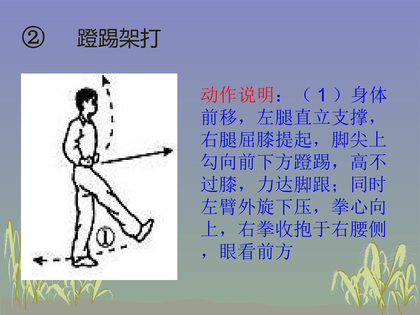 16.jpg