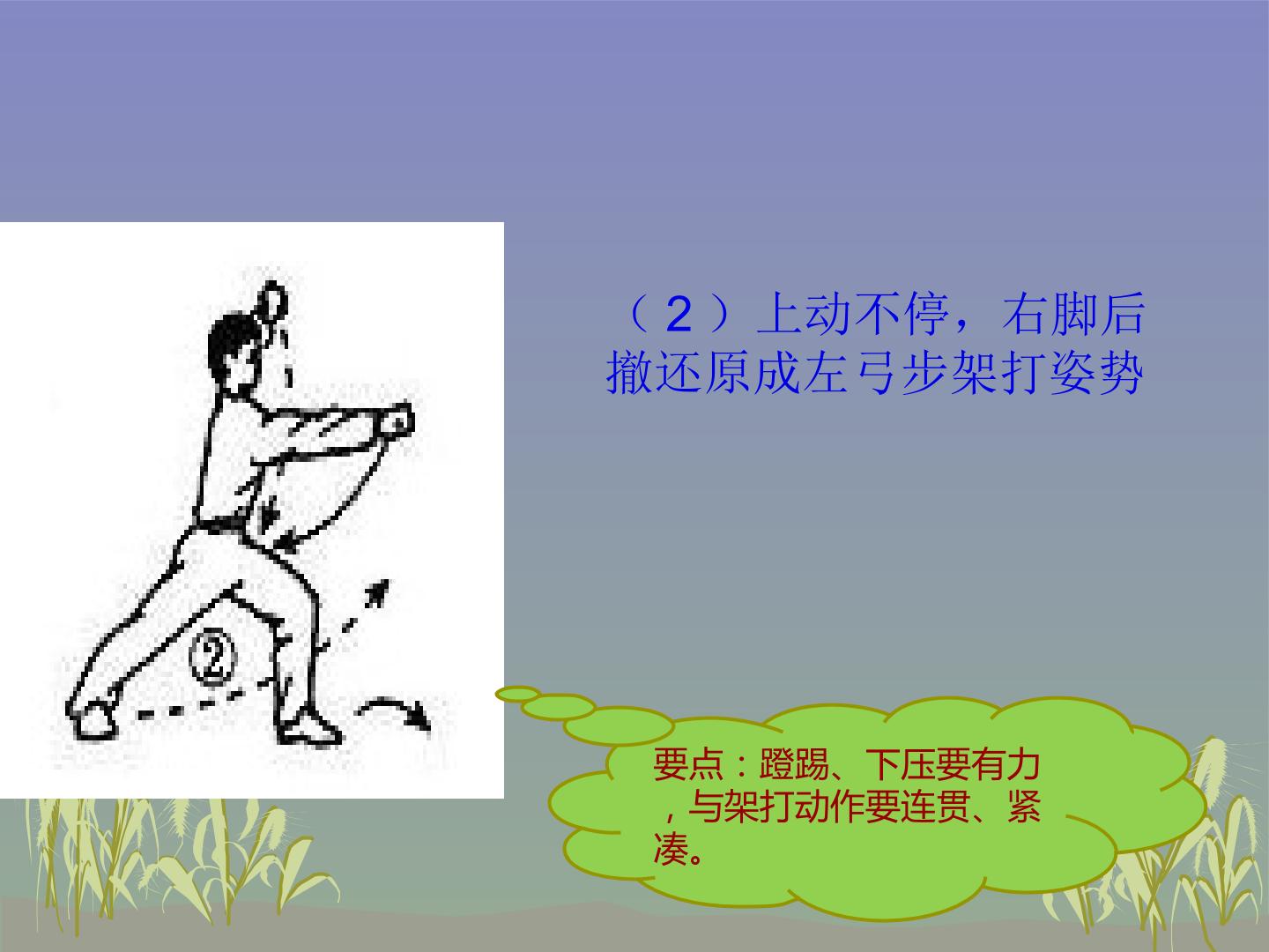 17.jpg