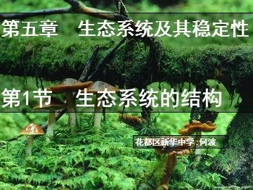 生物高中必修3第五章第一节课件28