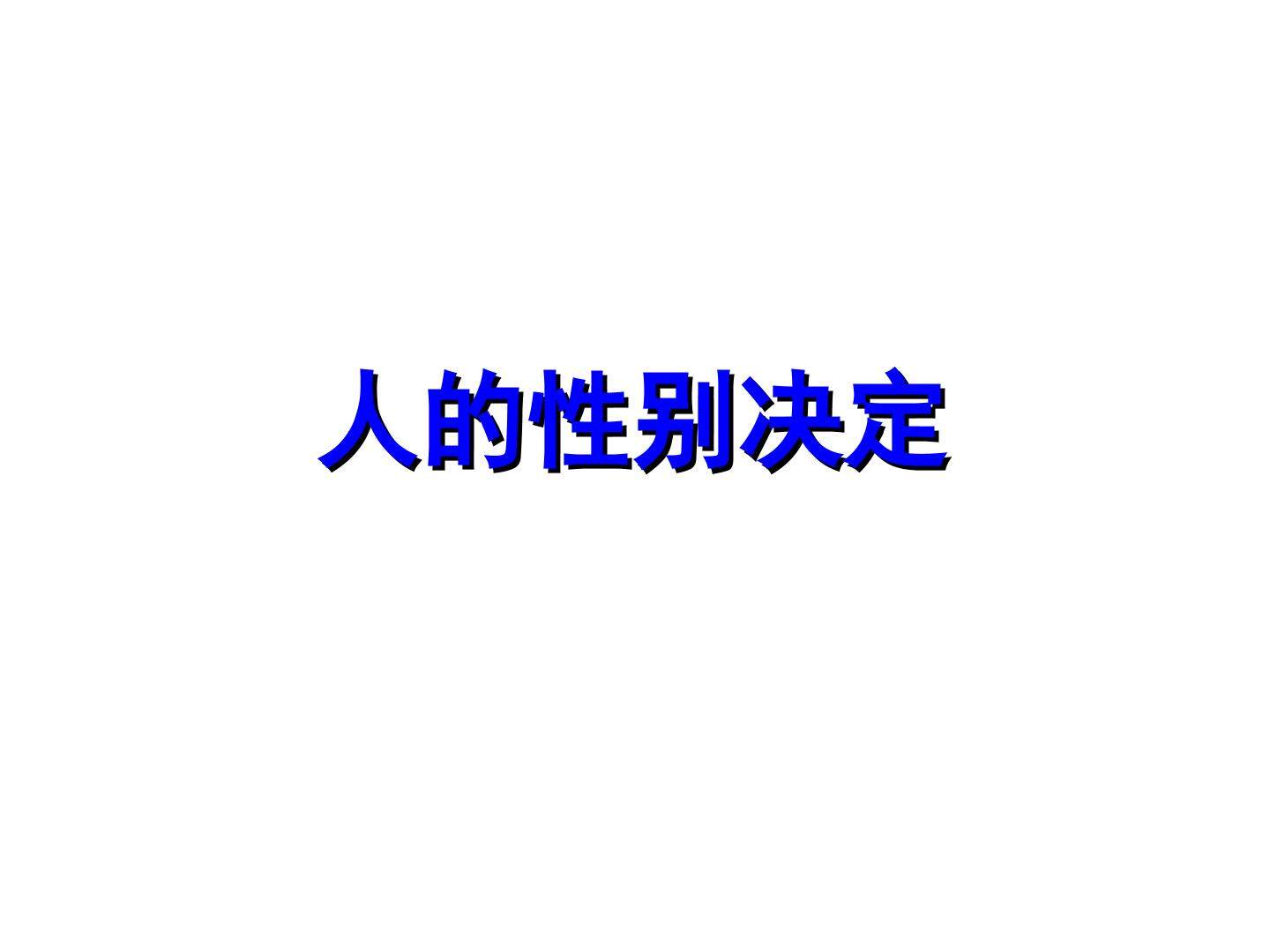人的性别决定_课件1