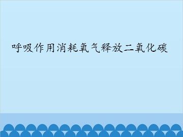 呼吸作用消耗氧气释放二氧化碳_课件1