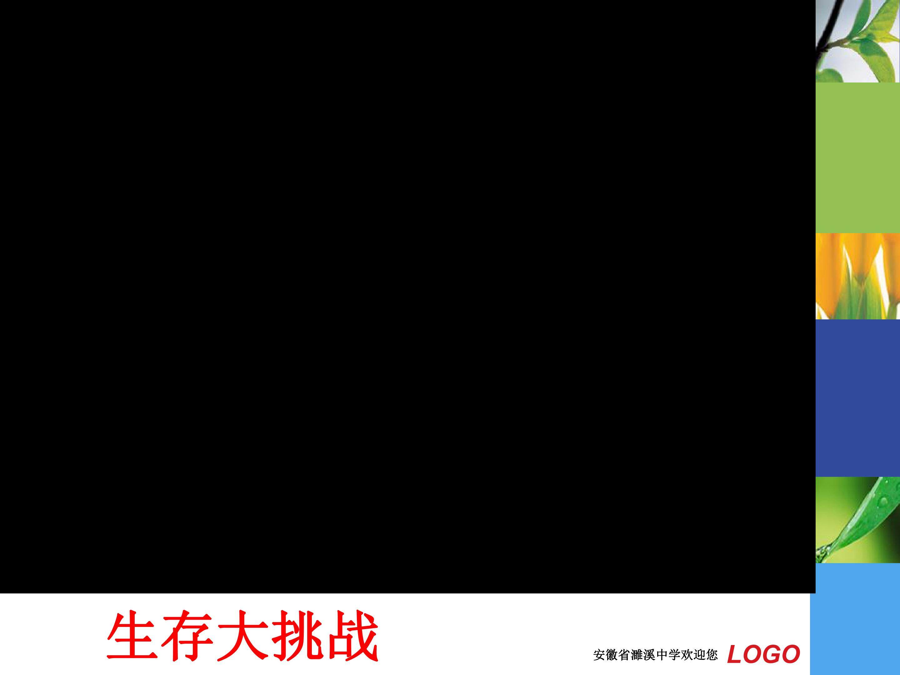 生态系统的能量流动