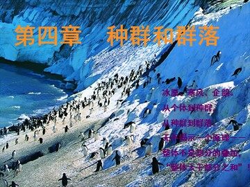 科学家的故事 从治蝗专家到生态学巨匠