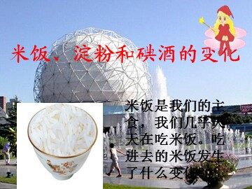 《米饭、淀粉和碘酒的变化》课件4