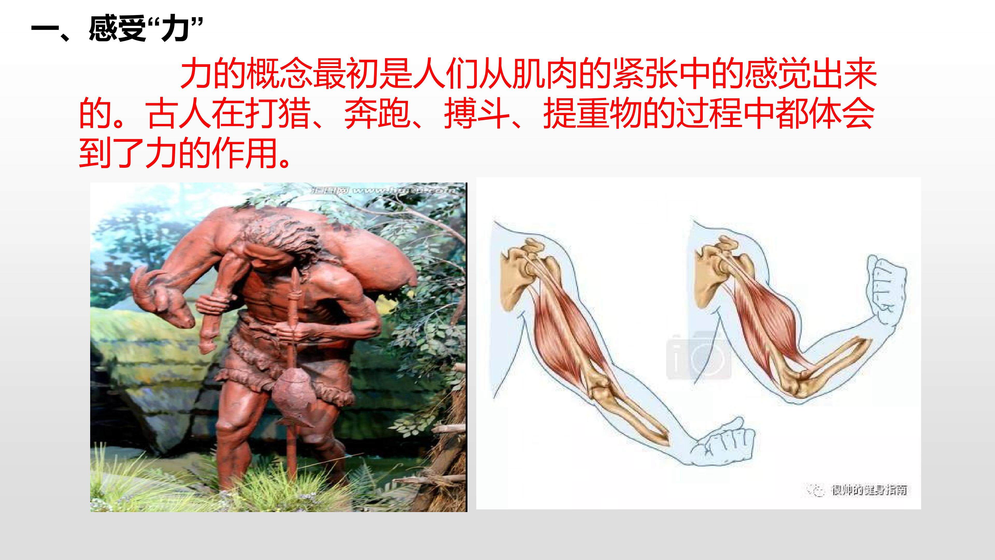 力的存在