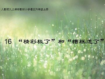 19 “精彩极了”和“糟糕透了”