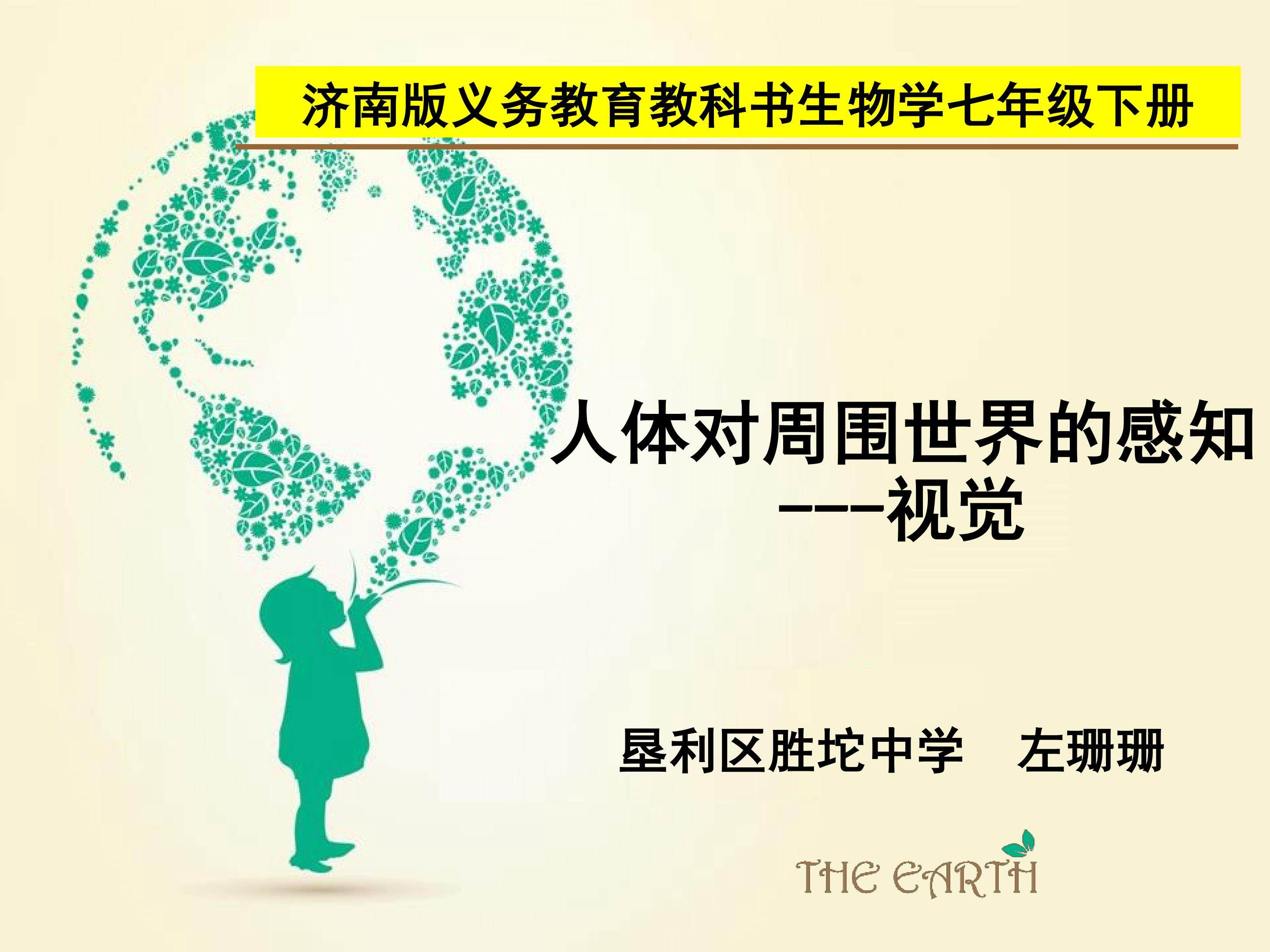 第四节　人体对周围世界的感知