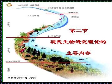 生物高中必修2第七章第二节课件13