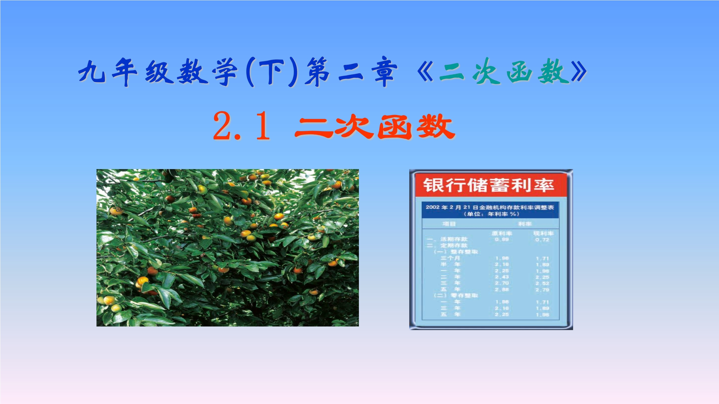 9年级数学北师大版下册课件第2章《1 二次函数》02