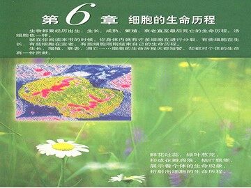 第1节  细胞的增殖