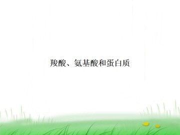 羧酸 氨基酸和蛋白质_课件1
